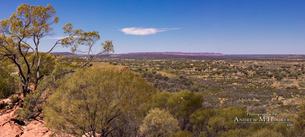 Back to Kings Canyon